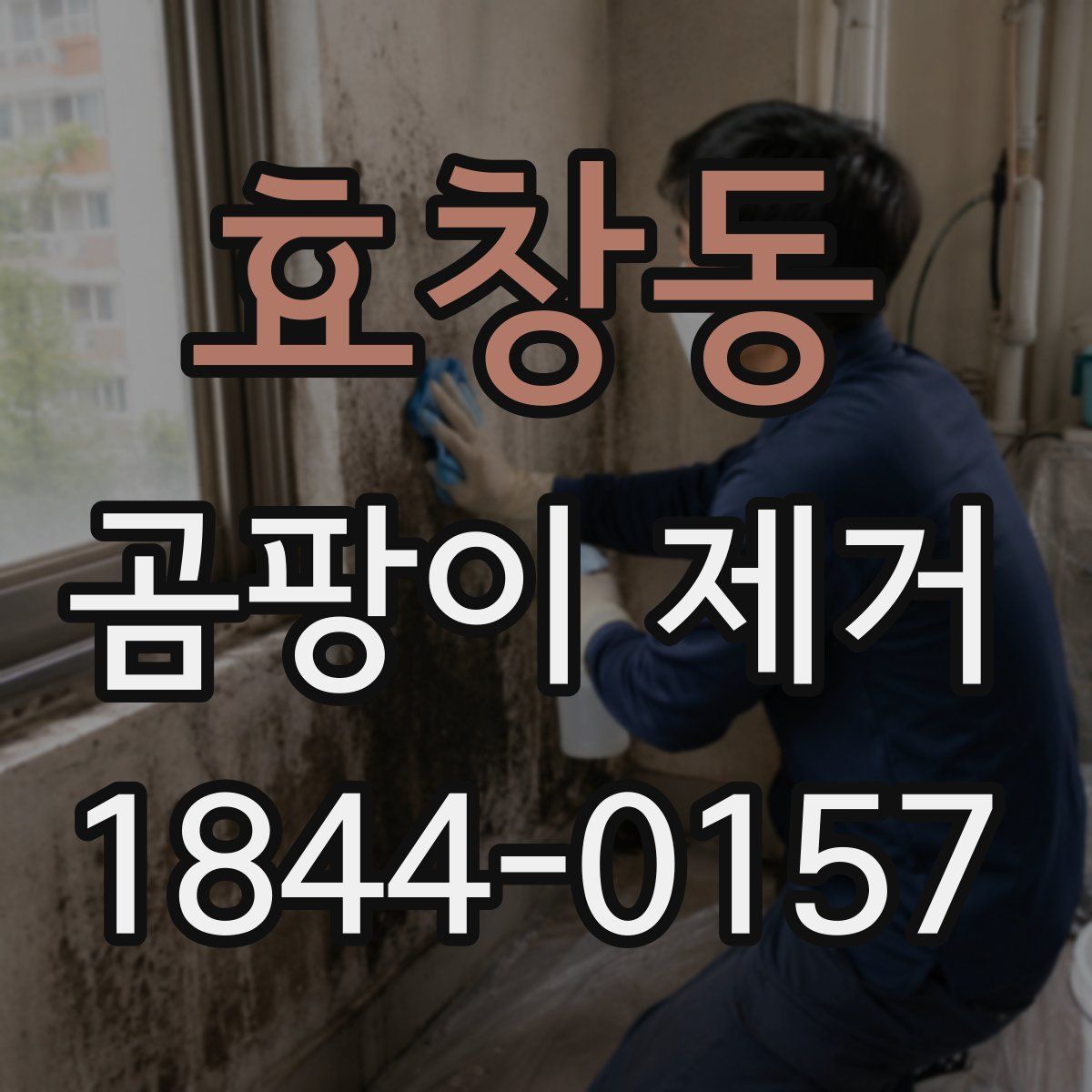 효창동 곰팡이 제거