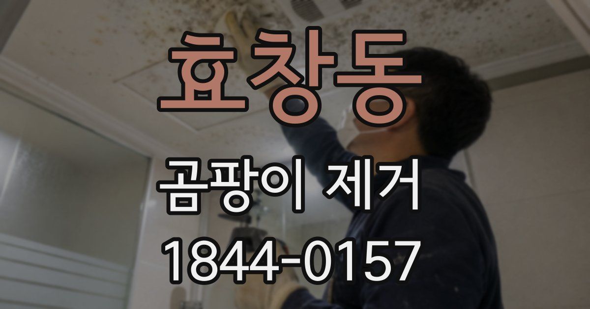 효창동 곰팡이 제거