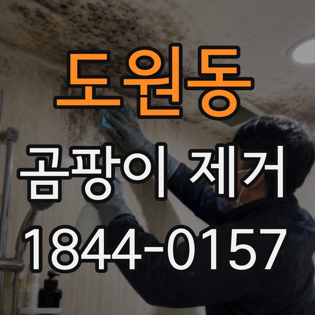 도원동 곰팡이 제거 침대 뒤와 가구 틈에 숨은 번짐 확인