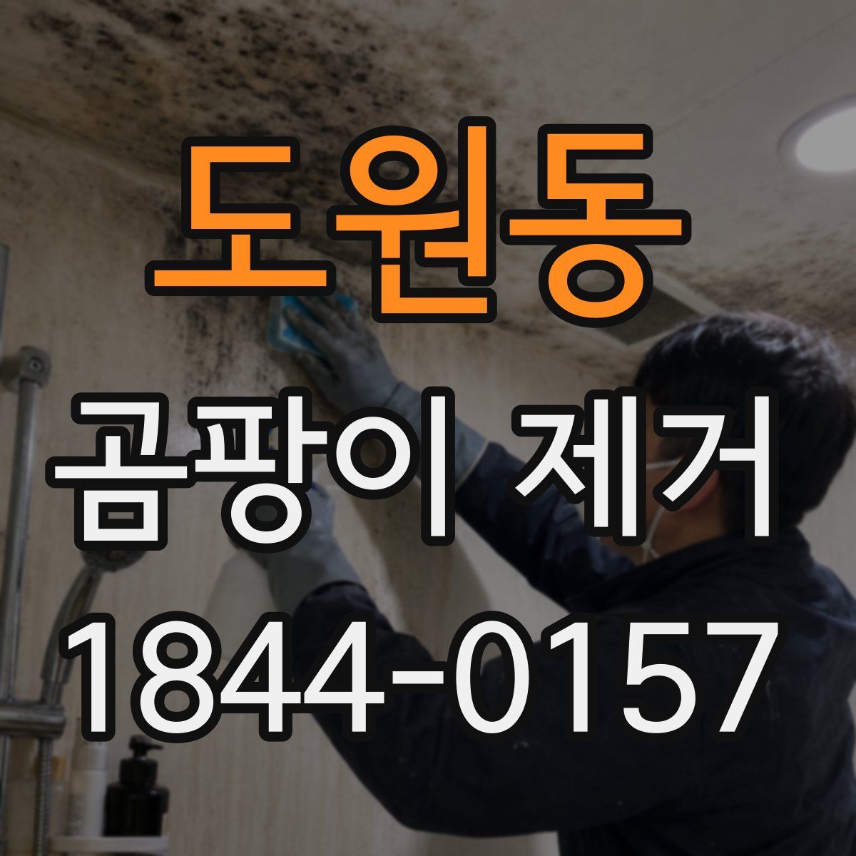 도원동 곰팡이 제거