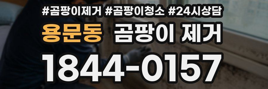 용문동 곰팡이 제거