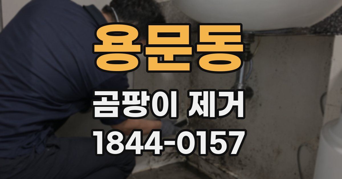 용문동 곰팡이 제거