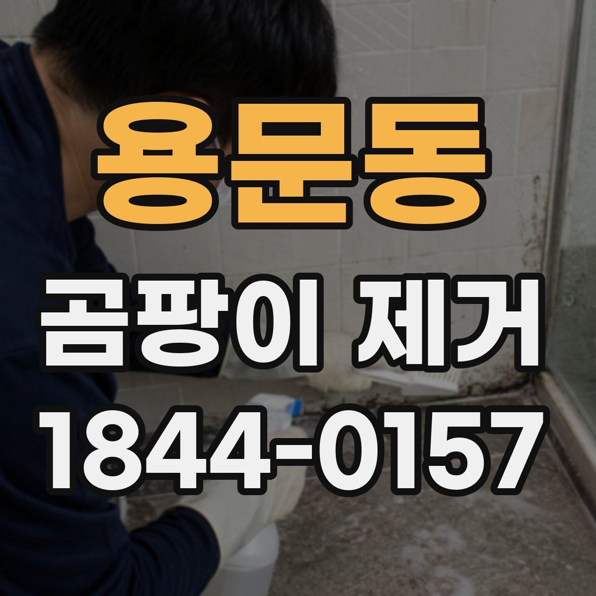 용문동 곰팡이 제거