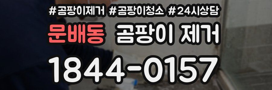 문배동 곰팡이 제거