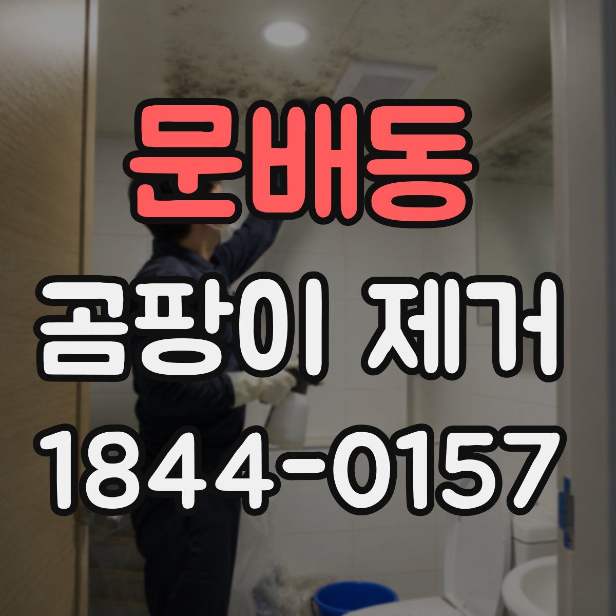 문배동 곰팡이 제거