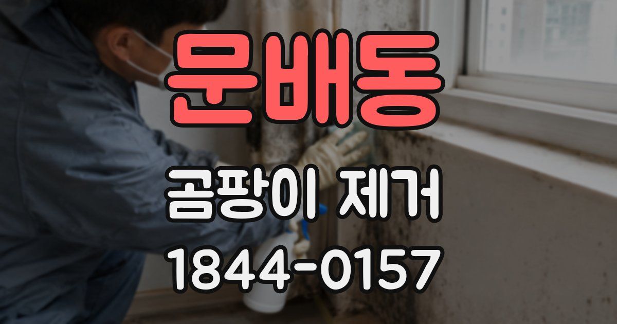 문배동 곰팡이 제거