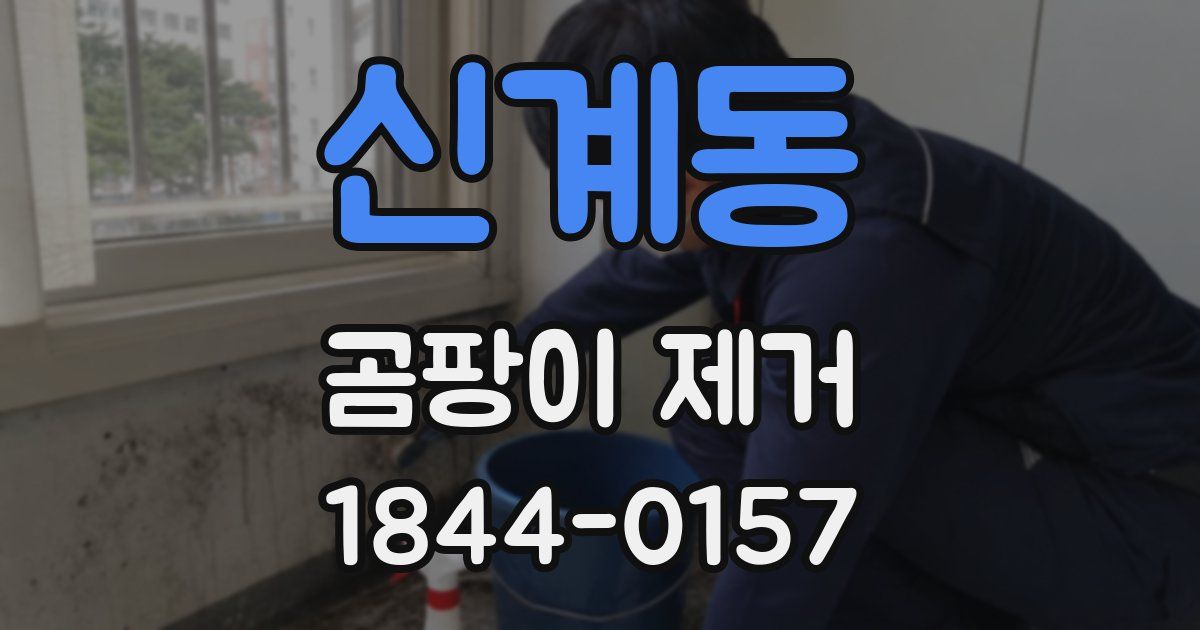 신계동 곰팡이 제거