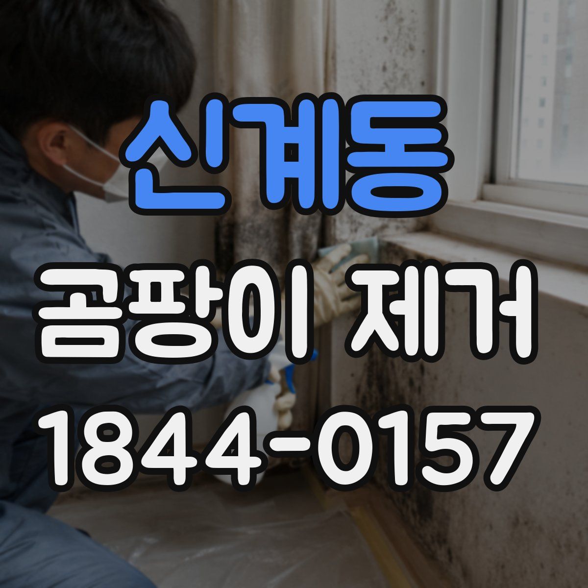 신계동 곰팡이 제거