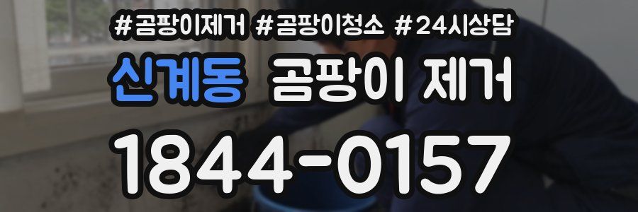 신계동 곰팡이 제거