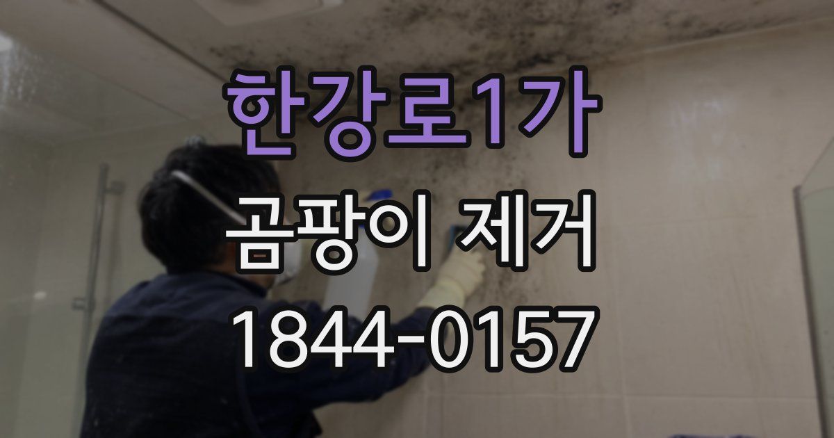 한강로1가 곰팡이 제거