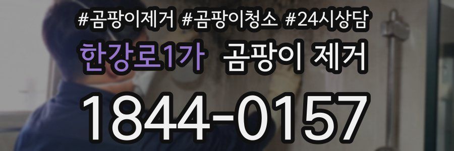 한강로1가 곰팡이 제거