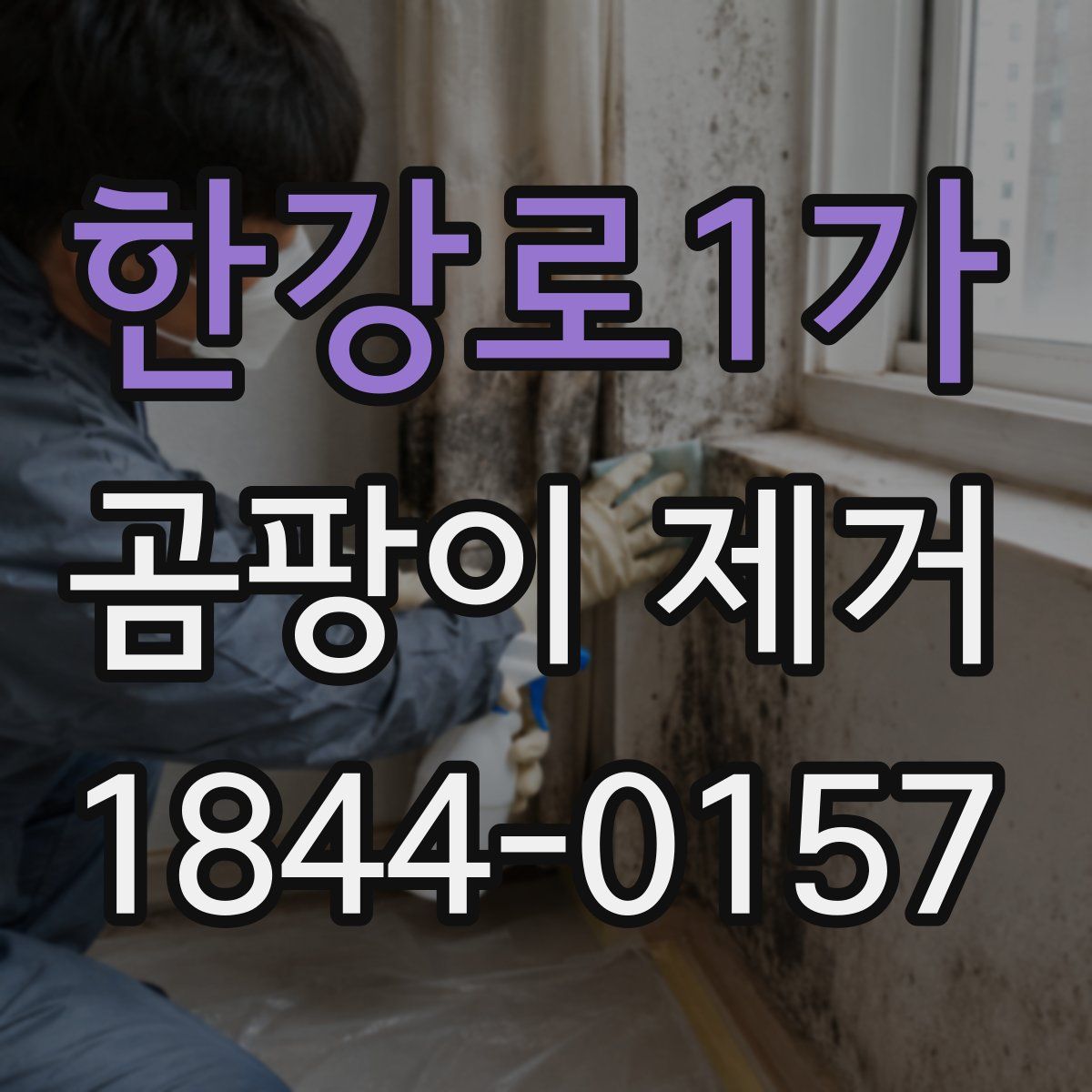 한강로1가 곰팡이 제거