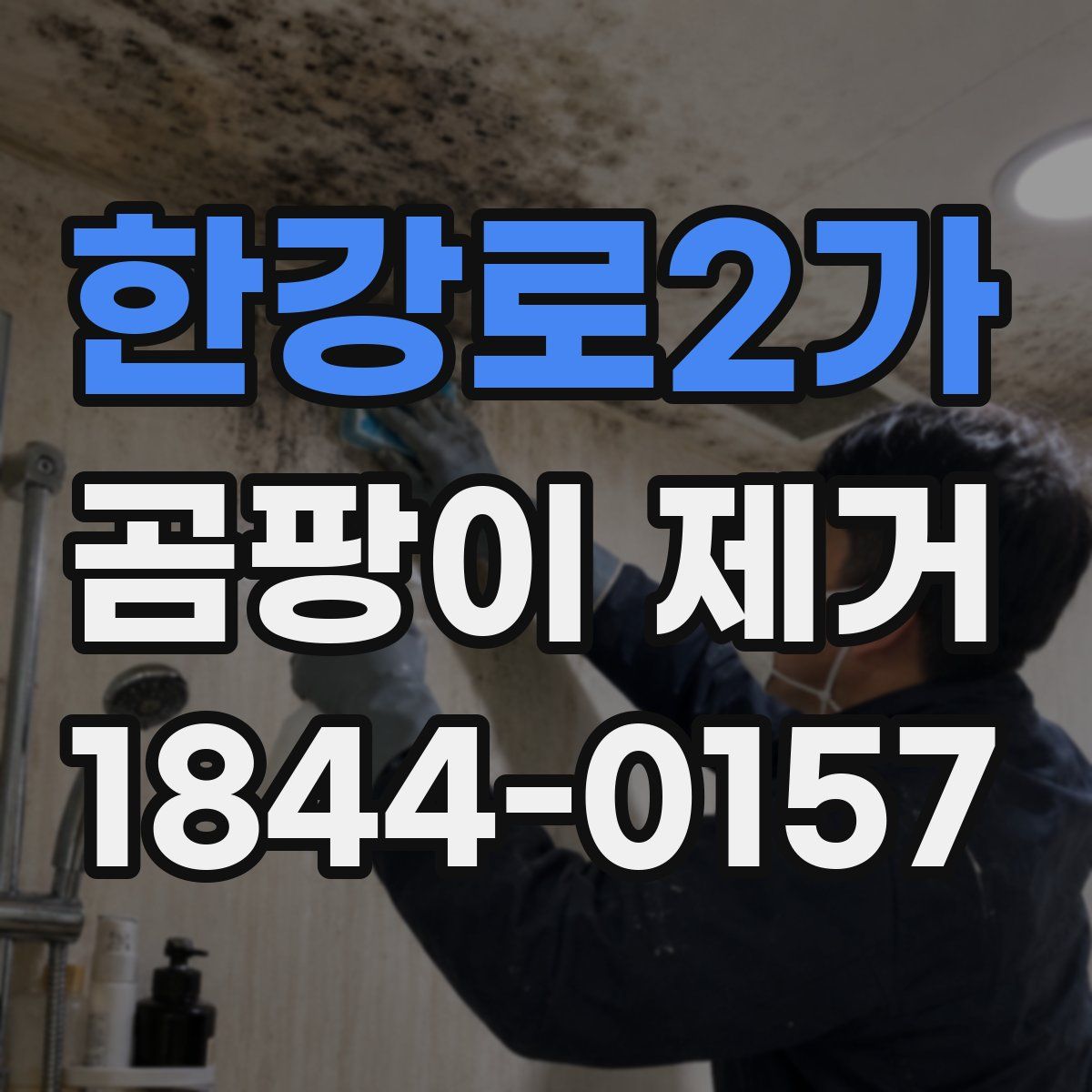 한강로2가 곰팡이 제거