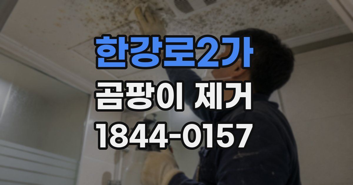 한강로2가 곰팡이 제거