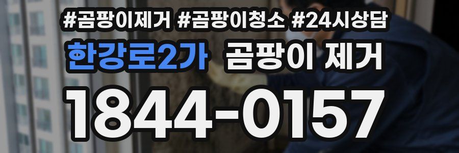 한강로2가 곰팡이 제거