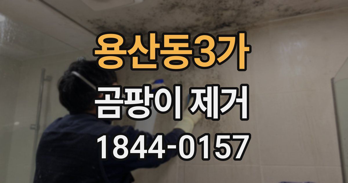 용산동3가 곰팡이 제거