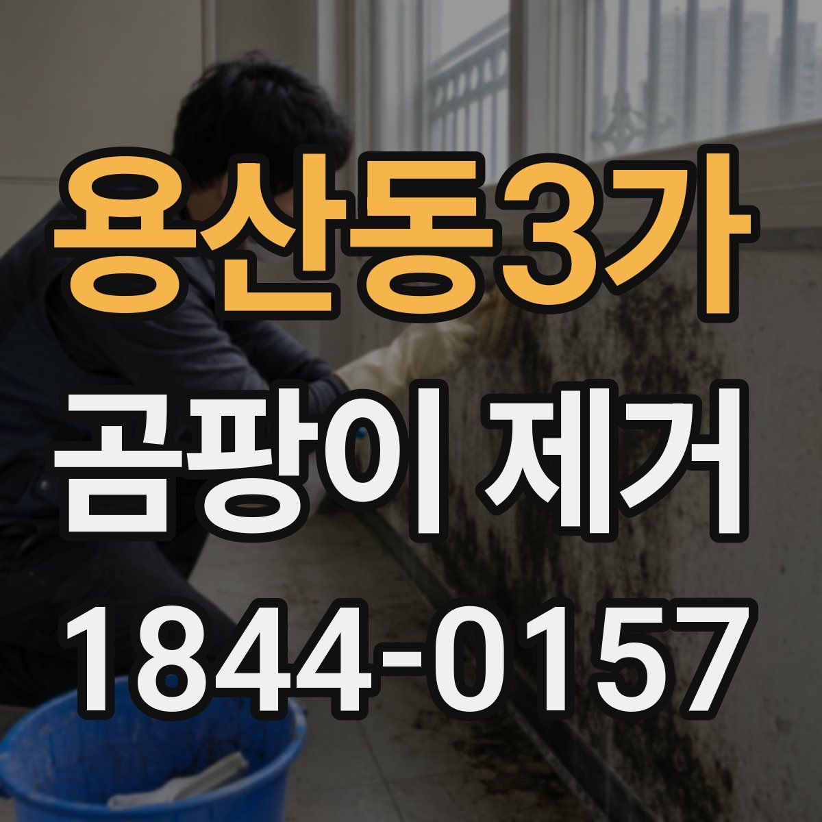 용산동3가 곰팡이 제거