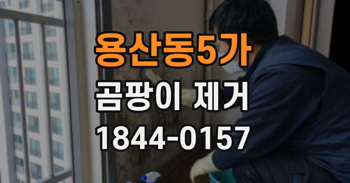 용산동5가 곰팡이 제거