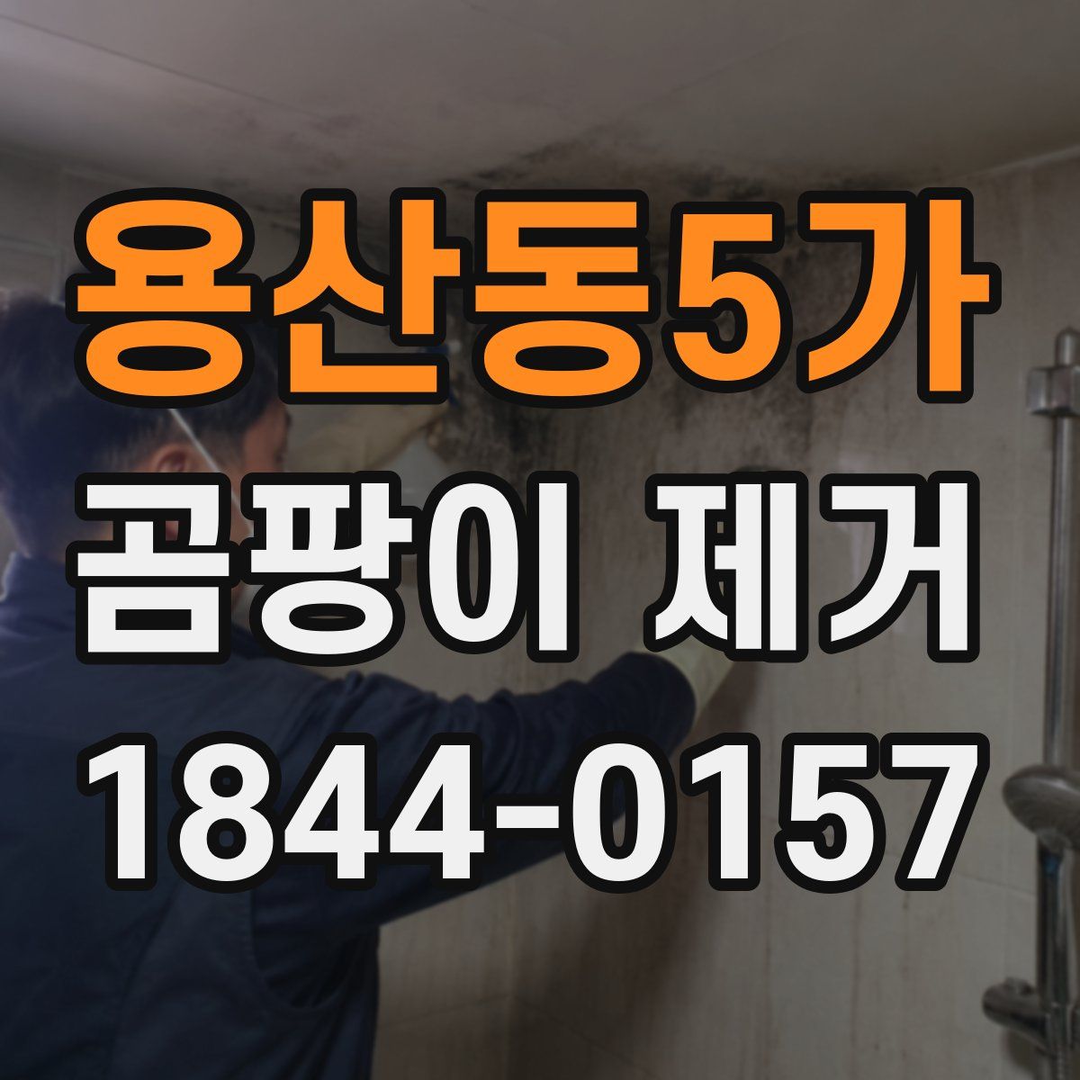 용산동5가 곰팡이 제거