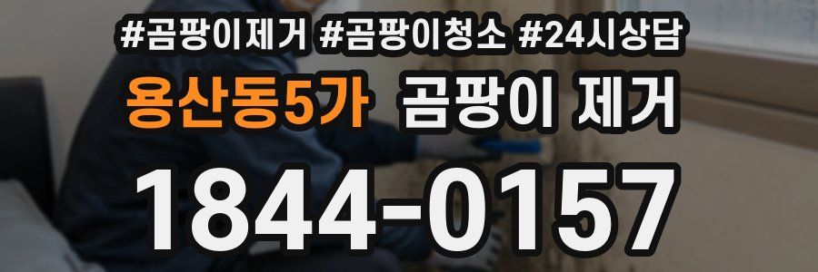 용산동5가 곰팡이 제거