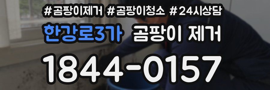 한강로3가 곰팡이 제거