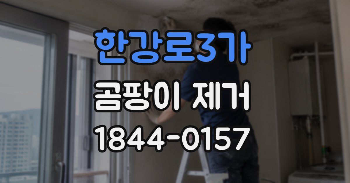 한강로3가 곰팡이 제거
