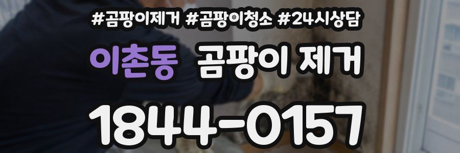 이촌동 곰팡이 제거