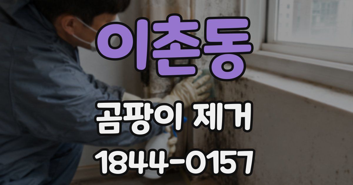 이촌동 곰팡이 제거