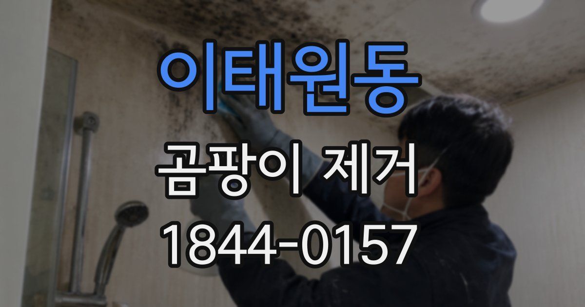 이태원동 곰팡이 제거