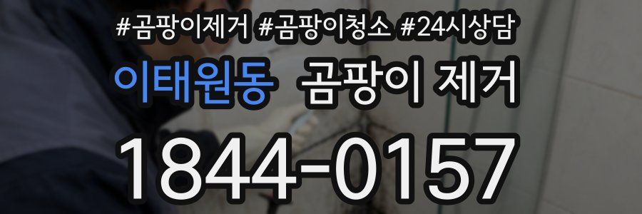 이태원동 곰팡이 제거