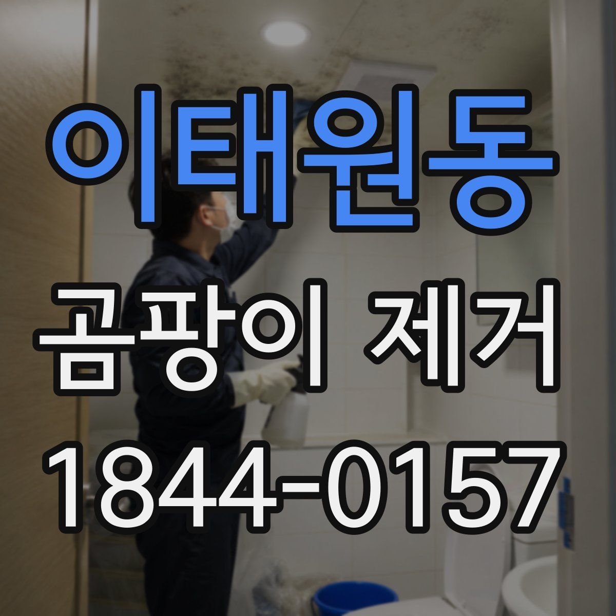 이태원동 곰팡이 제거