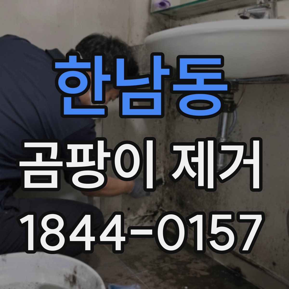 한남동 곰팡이 제거