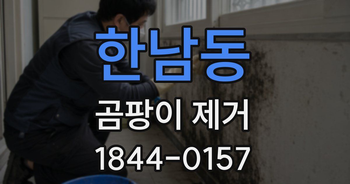 한남동 곰팡이 제거