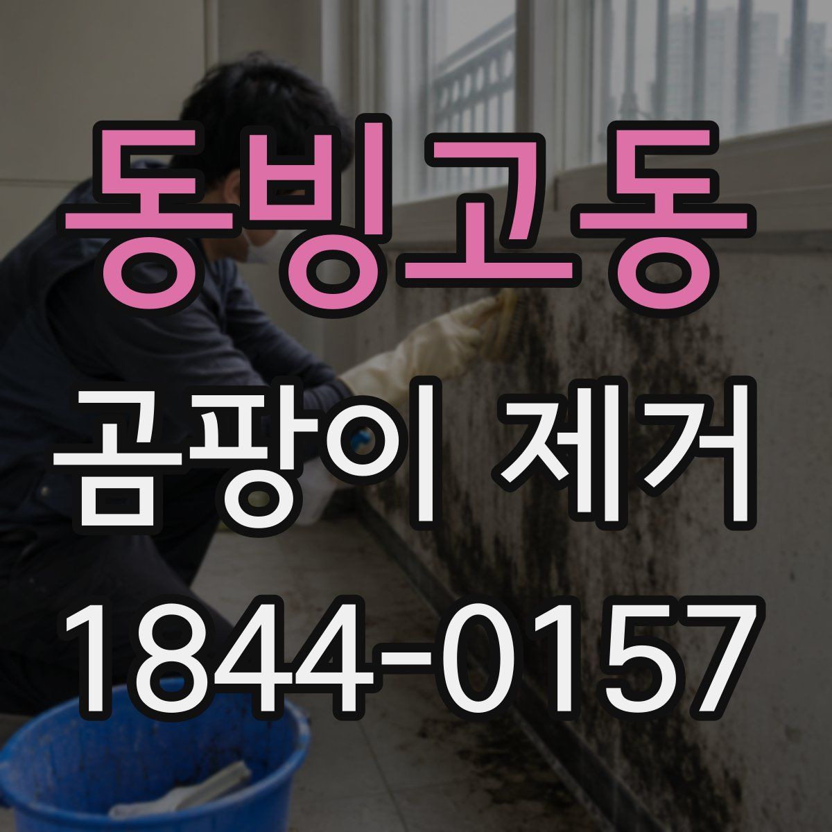 동빙고동 곰팡이 제거