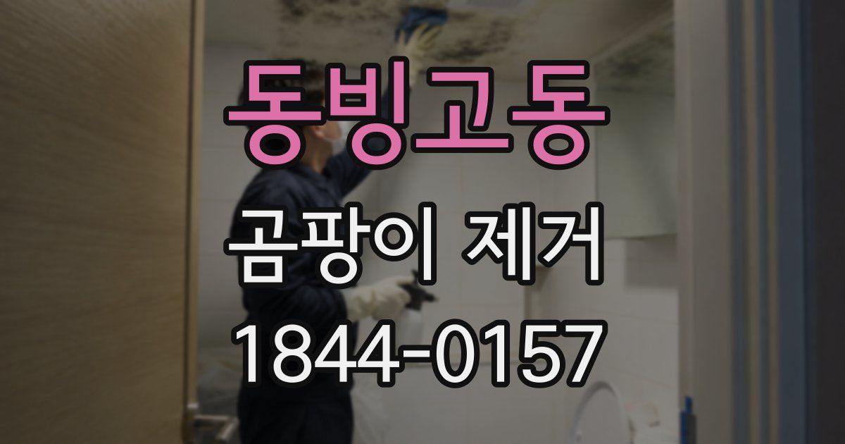 동빙고동 곰팡이 제거