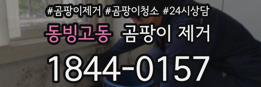 동빙고동 곰팡이 제거
