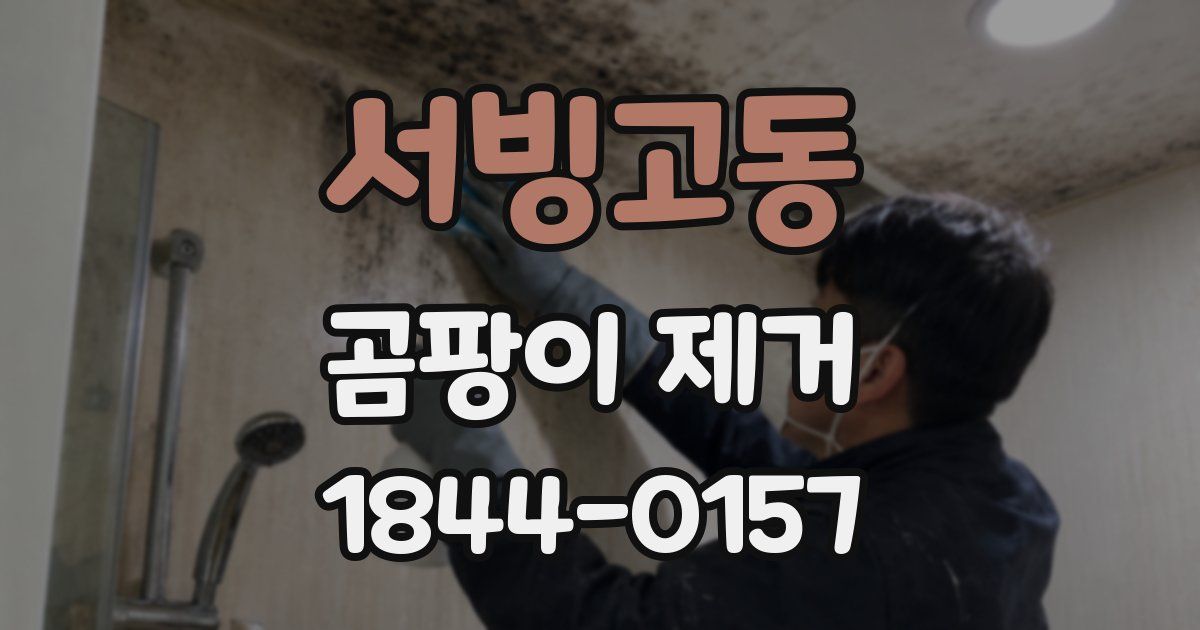 서빙고동 곰팡이 제거