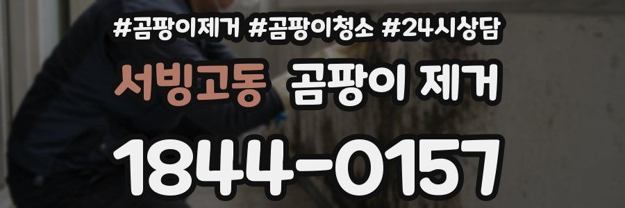 서빙고동 곰팡이 제거