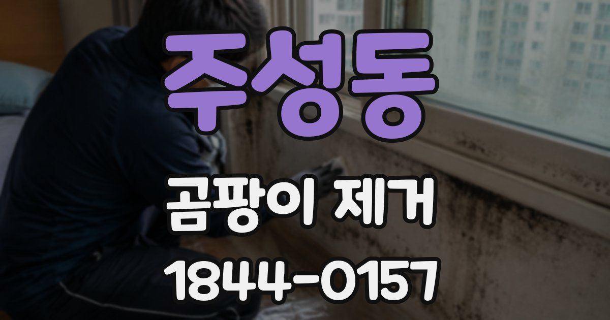 주성동 곰팡이 제거
