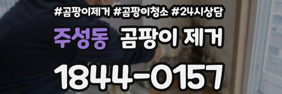 주성동 곰팡이 제거
