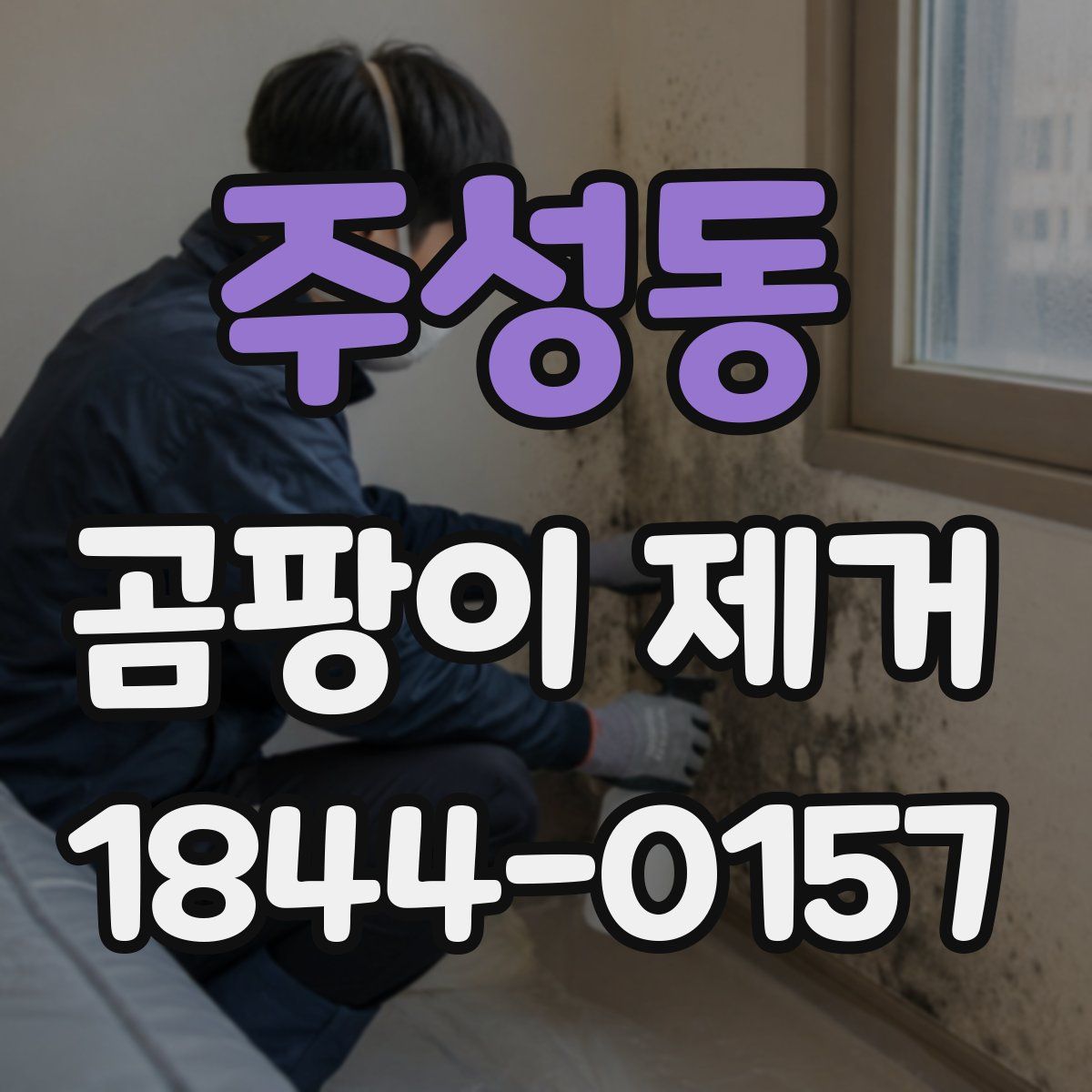 주성동 곰팡이 제거