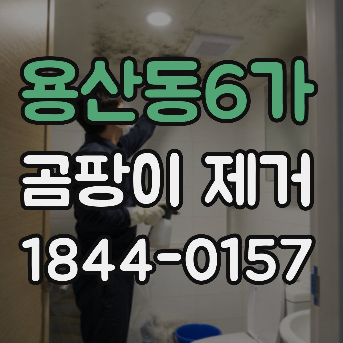용산동6가 곰팡이 제거