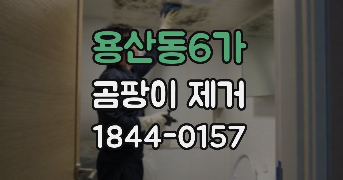 용산동6가 곰팡이 제거