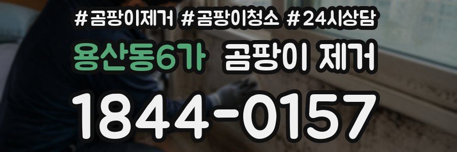 용산동6가 곰팡이 제거