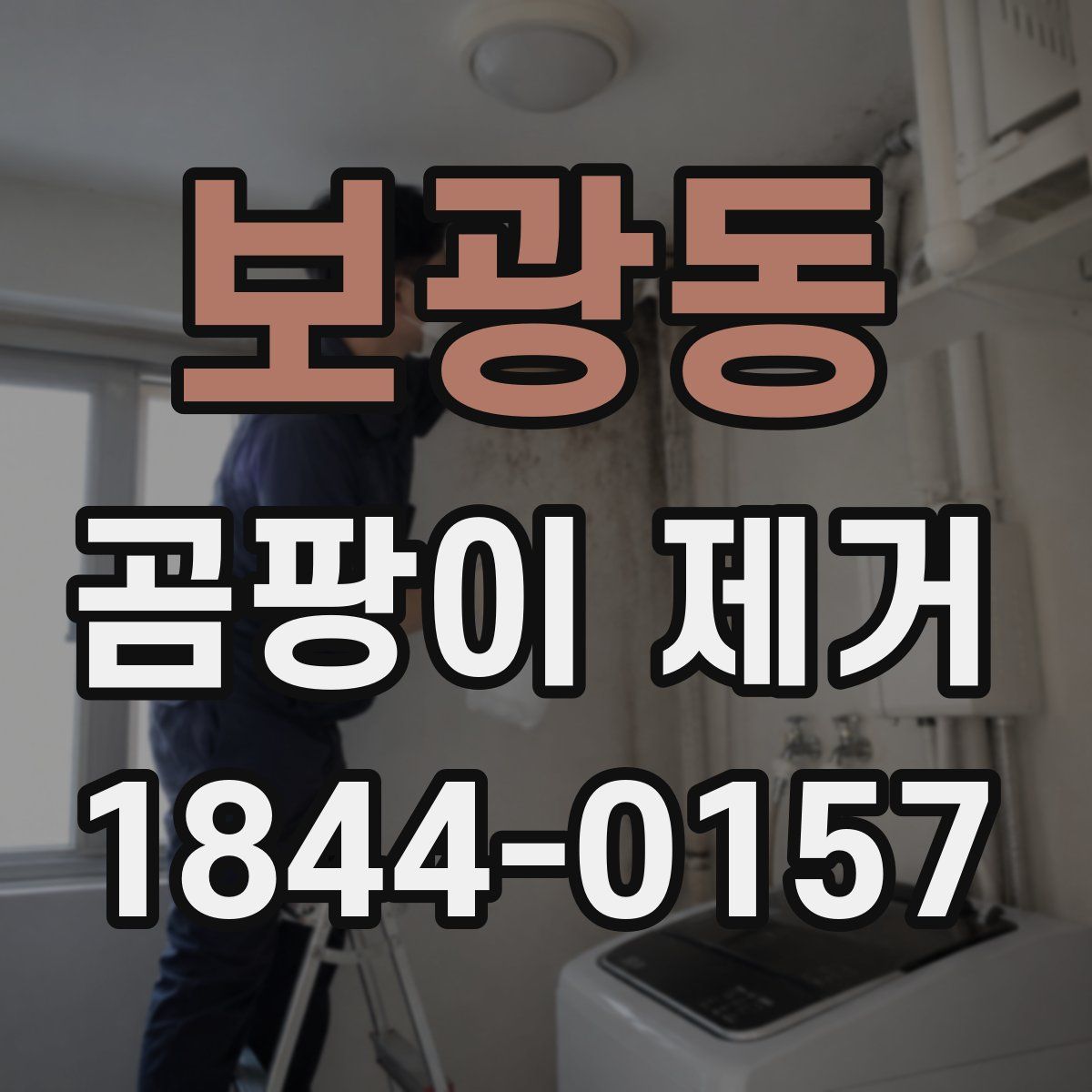 보광동 곰팡이 제거