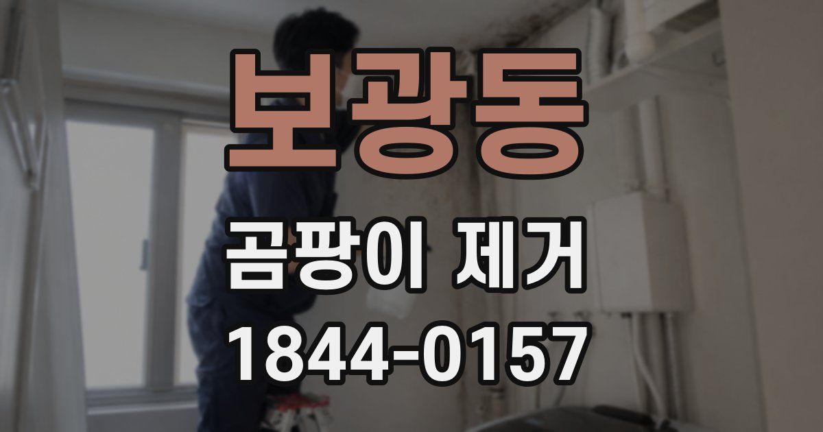 보광동 곰팡이 제거