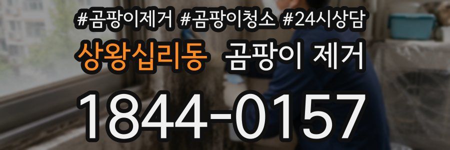 상왕십리동 곰팡이 제거
