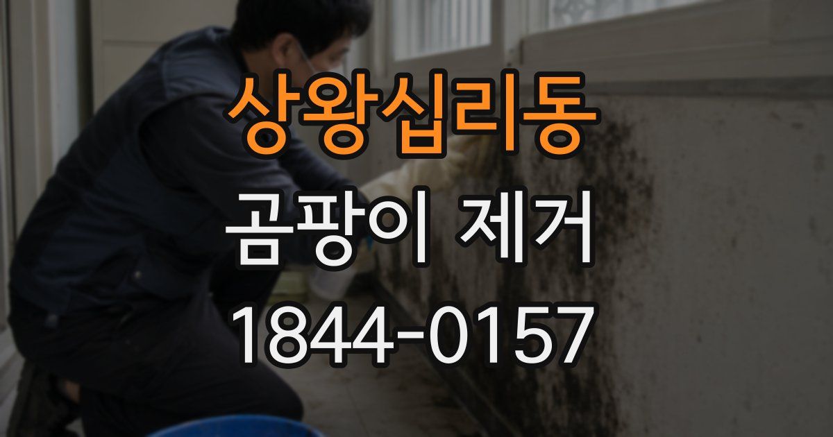 상왕십리동 곰팡이 제거