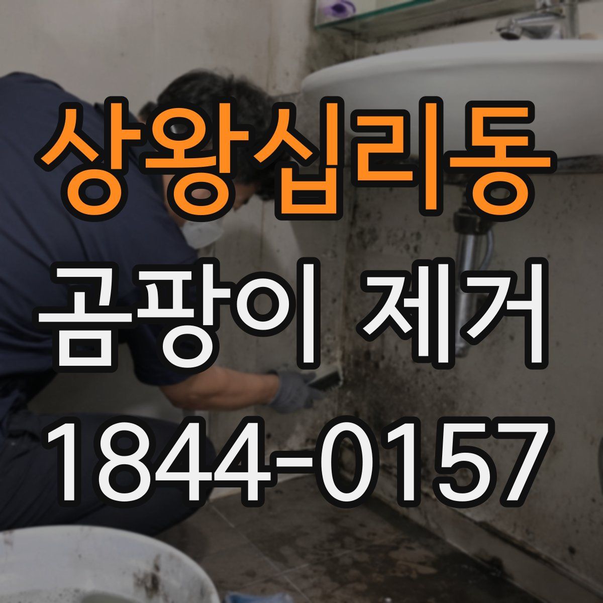 상왕십리동 곰팡이 제거