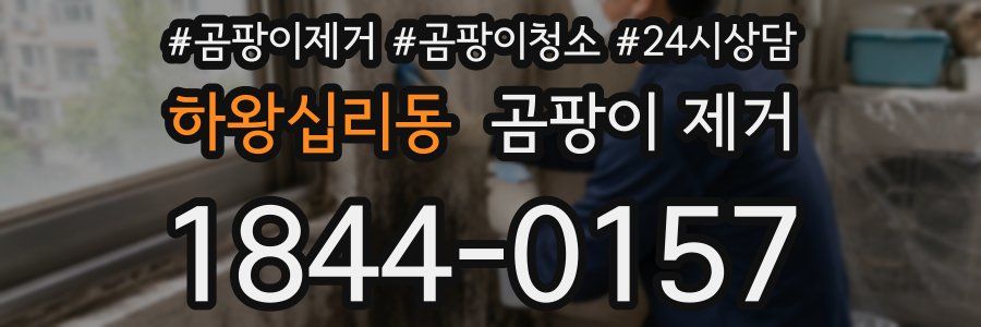 하왕십리동 곰팡이 제거